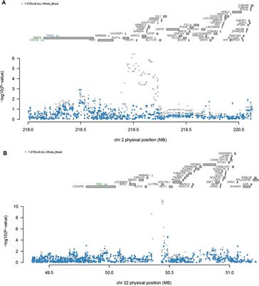 Gaining new insights into the etiology of ulcerative colitis through a cross-tissue transcriptome-wide association study